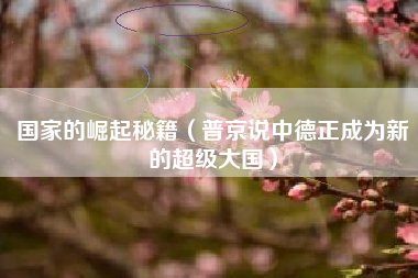 国家的崛起秘籍（普京说中德正成为新的超级大国）