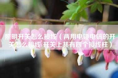 照明开关怎么接线（两用电锤电镐的开关怎么接线(开关上共有四个接线柱）