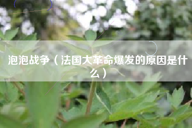 泡泡战争（法国大革命爆发的原因是什么）