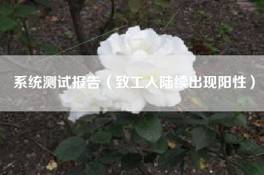 系统测试报告（致工人陆续出现阳性）