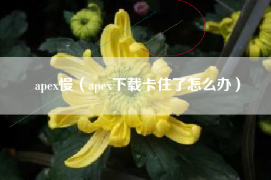 apex慢（apex下载卡住了怎么办）