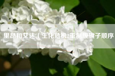 里昂和艾达（生化危机2重制版旗子顺序）