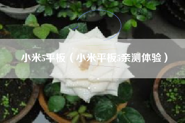 小米5平板（小米平板5亲测体验）