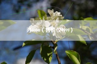 刃9000（售价仅9999）