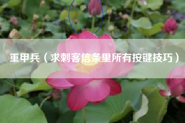 重甲兵（求刺客信条里所有按键技巧）