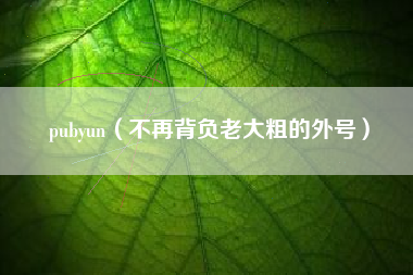 pubyun（不再背负老大粗的外号）