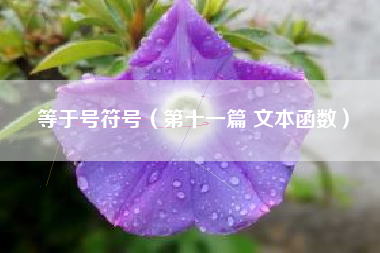 等于号符号（第十一篇 文本函数）