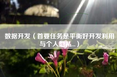 数据开发（首要任务是平衡好开发利用与个人隐私...）