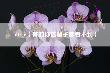 dtree（有的你这辈子都看不到）