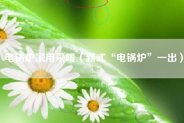 电锅炉家用采暖（新式“电锅炉”一出）