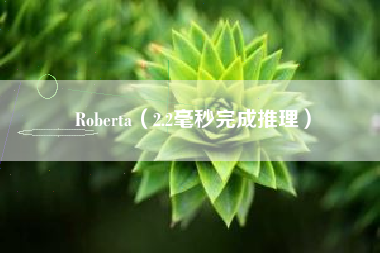 Roberta（2.2毫秒完成推理）