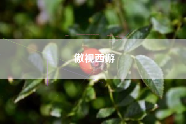 傲视西游