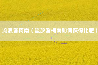流浪者柯南（流放者柯南如何获得化肥）