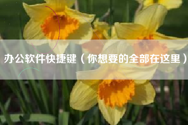 办公软件快捷键（你想要的全部在这里）