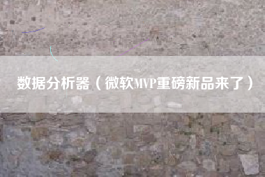 数据分析器（微软MVP重磅新品来了）