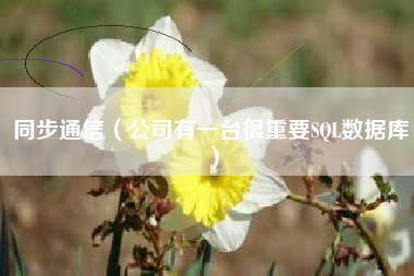 同步通信（公司有一台很重要SQL数据库）