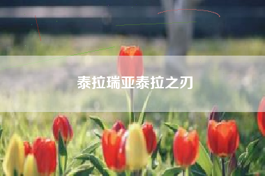 泰拉瑞亚泰拉之刃