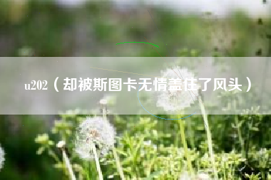 u202（却被斯图卡无情盖住了风头）