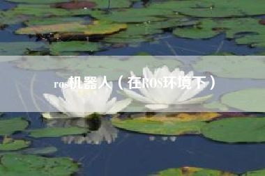 ros机器人（在ROS环境下）
