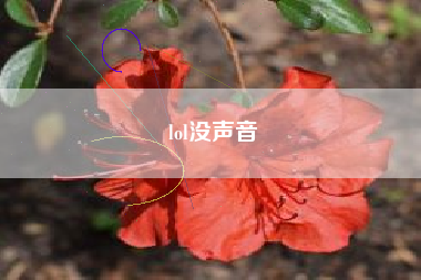 lol没声音