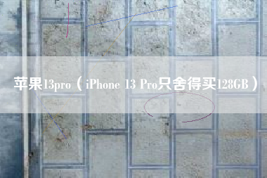 苹果13pro（iPhone 13 Pro只舍得买128GB）