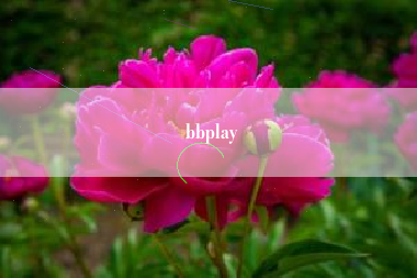 bbplay