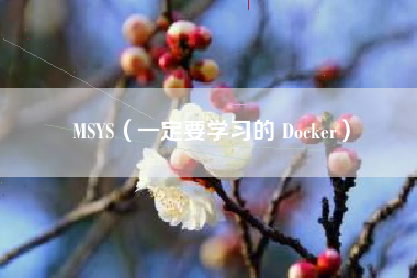 MSYS（一定要学习的 Docker）