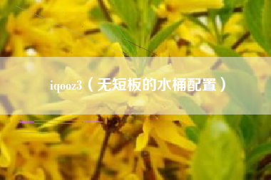 iqooz3（无短板的水桶配置）