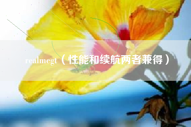 realmegt（性能和续航两者兼得）