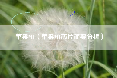 苹果M1（苹果M1芯片简要分析）