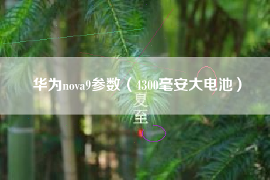 华为nova9参数（4300毫安大电池）