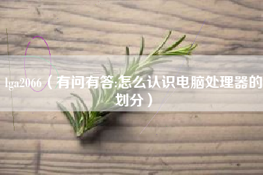 lga2066（有问有答:怎么认识电脑处理器的划分）