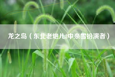 龙之岛（东北老炮儿2中奈雪扮演者）