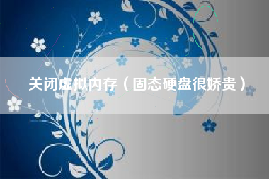 关闭虚拟内存（固态硬盘很娇贵）