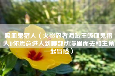 吸血鬼猎人（火影忍者海贼王吸血鬼猎人D你愿意进入到哪部动漫里面去和主角一起冒险）