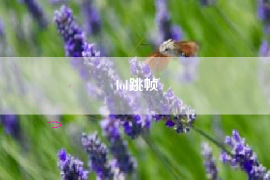 lol跳帧