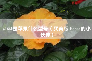 a1661是苹果什么型号（买美版 Phone的小伙伴）