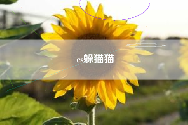 cs躲猫猫