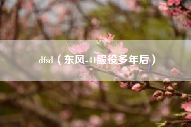 dfsd（东风-41服役多年后）