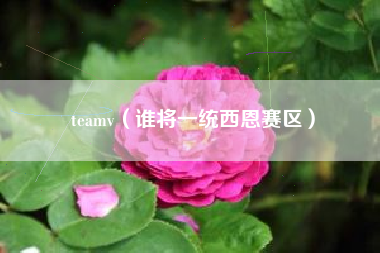 teamv（谁将一统西恩赛区）