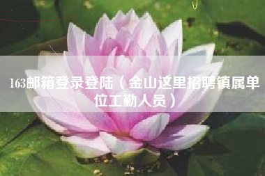 163邮箱登录登陆（金山这里招聘镇属单位工勤人员）
