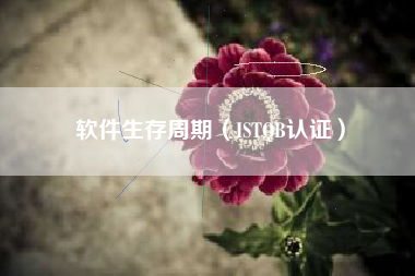软件生存周期（ISTQB认证）