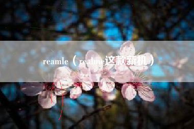 reamle（realme这款新机）