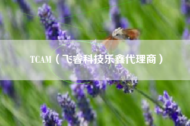 TCAM（飞睿科技乐鑫代理商）