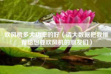吹风机多大功率的好（请大数据把我推荐给想要吹风机的朋友们）