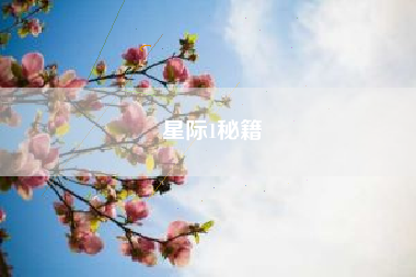 星际1秘籍