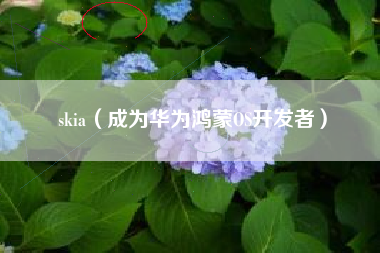 skia（成为华为鸿蒙OS开发者）