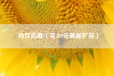 内存拓展（花389元就能扩容）