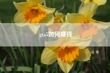 gta5如何赚钱