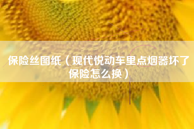 保险丝图纸（现代悦动车里点烟器坏了保险怎么换）